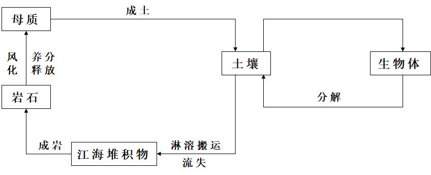 地质大循环与生物小循环模型