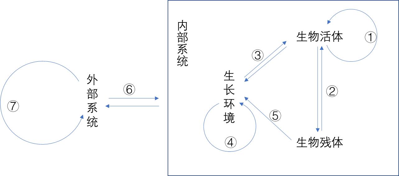 生态系统内部的物质循环模型